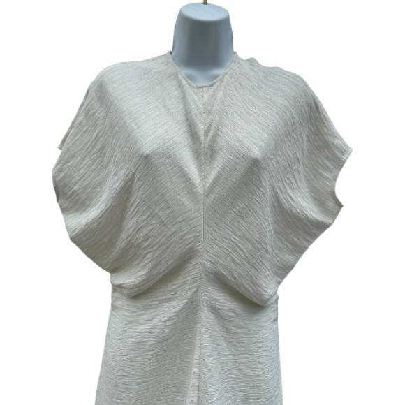 Toteme Women’s Slouch Waist Dress Size 36 Cream Colored - Picture 6 of 13